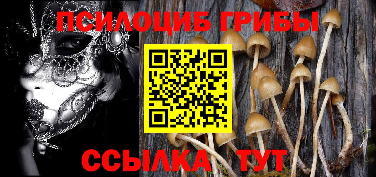 Псилоцибиновые грибы Psilocybine cubensis Грязи
