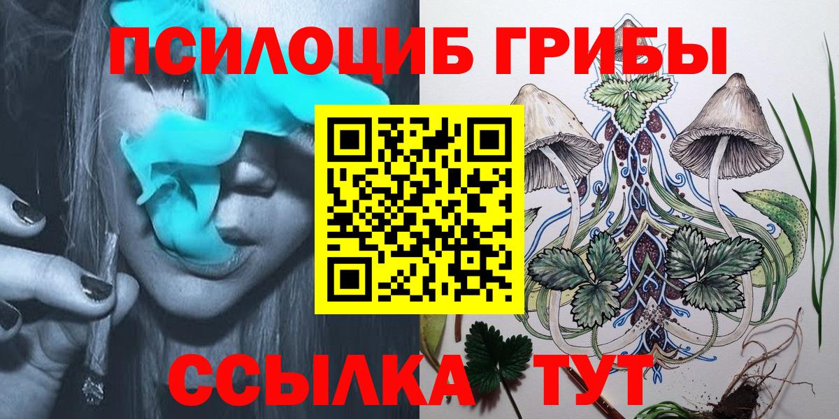 Галлюциногенные грибы Psilocybe  Вход с VPN  Грязи 